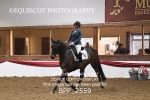 BPP_2559
