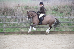 SBM_007238