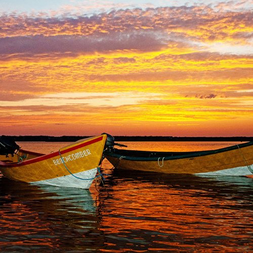 Dulse Dories at Sunset - Dark Harbour, Grand Manan