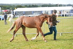 DSC04689