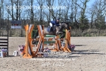 CLASS 11 SUN Liz Fox Royal Highland Show JD/JC Championship Qualifier portfolio