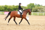 SBM_006529
