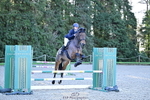 1 British Novice and 90cm Open portfolio