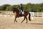 SBM_015838