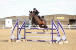 SBM_007599