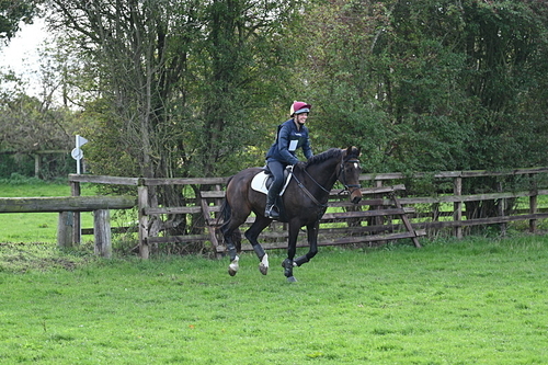WJ7_0205