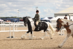 SBM_14775