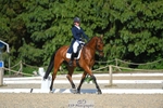 253-MY_EASTWOOD_BRIGHTSIDE-Darcy_Zander-WEDTrotUp+DR portfolio