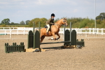SBM_03324