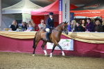 SBM_15879