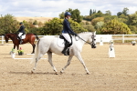 SBM_010086