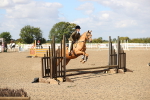 SBM_03331