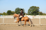 SBM_01201