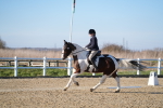 SBM_004403