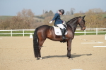 SBM_008385