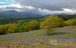 Spring storm over Moel Hebog