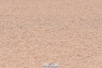 230720A-093332-01414
