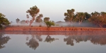 Misty Colour