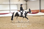 BPP_8379