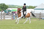 SBM_17594