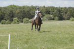 BVHT 140517  NXC -311