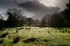 Kenmare