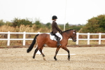 SBM_001445