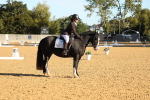 SBM_16378
