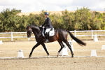 SBM_003453