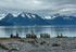 Seward-37
