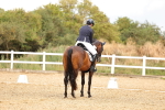 SBM_006732