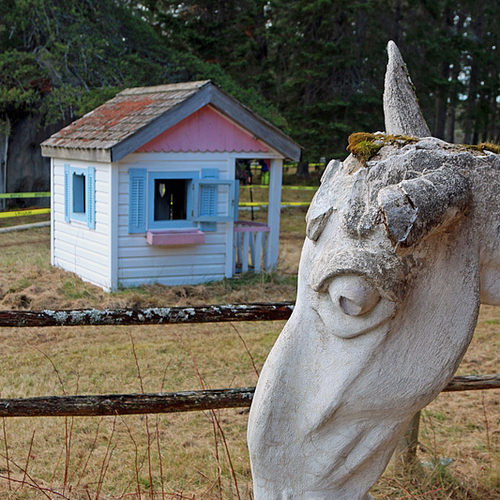 Return to Animaland in Penobsquis, NB