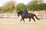 SBM_009649