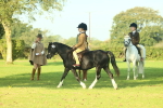 SBM_59188