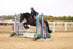 SBM_007610