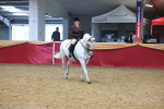 SBM_06123