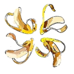 Banana skins