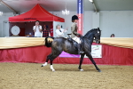SBM_23532