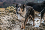 Loughrigg-19