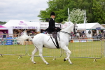 SBM_02936