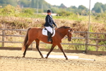 SBM_000475