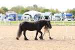 SBM_17964