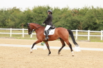 SBM_009304