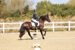 SBM_003530
