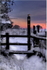 Worcestershire in the Snow
