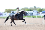 SBM_09116
