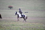 WJ5_6538