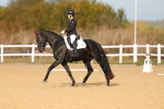 SBM_009372