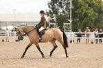 SBM_14769