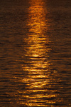 Sunset ripples